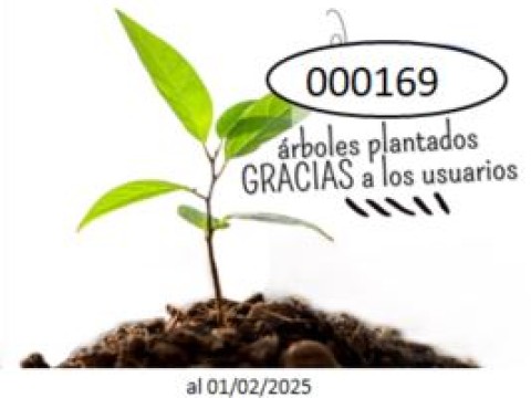 PRODUCTOS MP = ÁRBOLES PLANTADOS 🌱