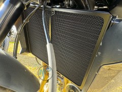 Tiger 660 Sport